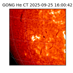 gong - 2025-09-25T16:00:42