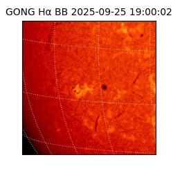 gong - 2025-09-25T19:00:02