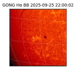 gong - 2025-09-25T22:00:02