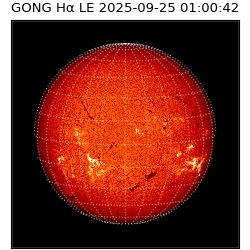 gong - 2025-09-25T01:00:42