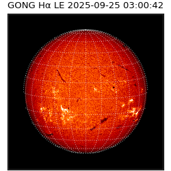 gong - 2025-09-25T03:00:42