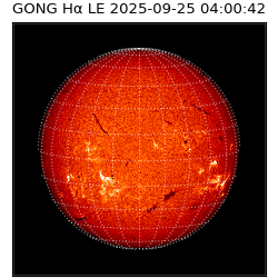 gong - 2025-09-25T04:00:42