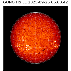 gong - 2025-09-25T06:00:42