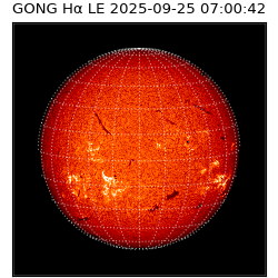 gong - 2025-09-25T07:00:42