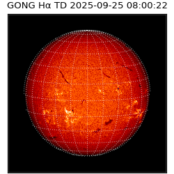gong - 2025-09-25T08:00:22