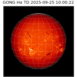 gong - 2025-09-25T10:00:22