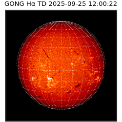 gong - 2025-09-25T12:00:22