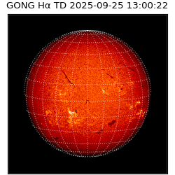 gong - 2025-09-25T13:00:22