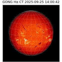 gong - 2025-09-25T14:00:42
