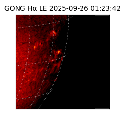 gong - 2025-09-26T01:23:42