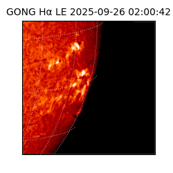 gong - 2025-09-26T02:00:42
