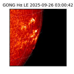 gong - 2025-09-26T03:00:42