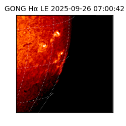 gong - 2025-09-26T07:00:42