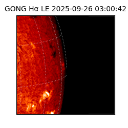 gong - 2025-09-26T03:00:42