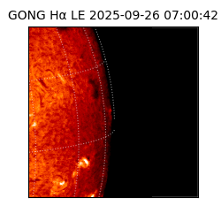 gong - 2025-09-26T07:00:42