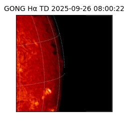 gong - 2025-09-26T08:00:22