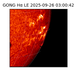 gong - 2025-09-26T03:00:42