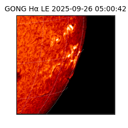 gong - 2025-09-26T05:00:42