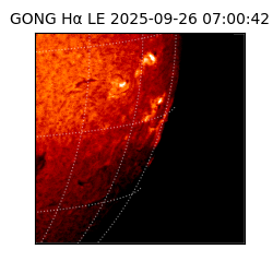 gong - 2025-09-26T07:00:42