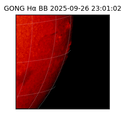 gong - 2025-09-26T23:01:02