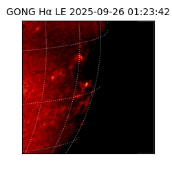 gong - 2025-09-26T01:23:42