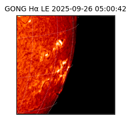 gong - 2025-09-26T05:00:42