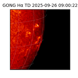 gong - 2025-09-26T09:00:22