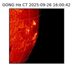 gong - 2025-09-26T16:00:42