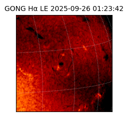 gong - 2025-09-26T01:23:42