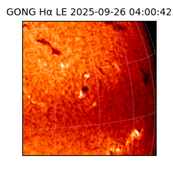 gong - 2025-09-26T04:00:42