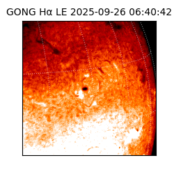 gong - 2025-09-26T06:40:42