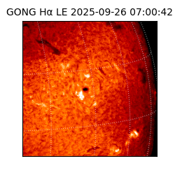 gong - 2025-09-26T07:00:42