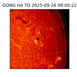 gong - 2025-09-26T08:00:22
