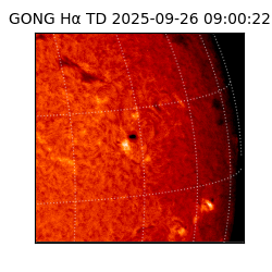 gong - 2025-09-26T09:00:22