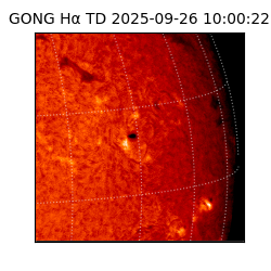 gong - 2025-09-26T10:00:22