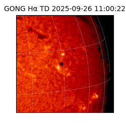 gong - 2025-09-26T11:00:22