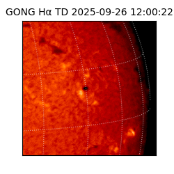 gong - 2025-09-26T12:00:22