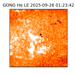 gong - 2025-09-26T01:23:42