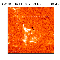 gong - 2025-09-26T03:00:42