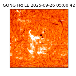 gong - 2025-09-26T05:00:42