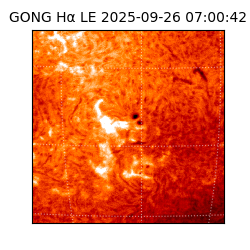 gong - 2025-09-26T07:00:42