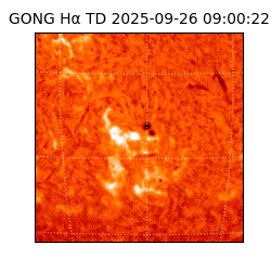 gong - 2025-09-26T09:00:22