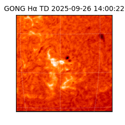 gong - 2025-09-26T14:00:22