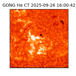 gong - 2025-09-26T16:00:42