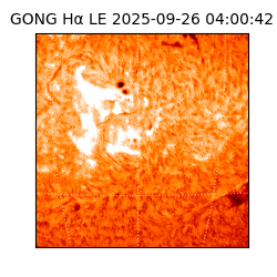 gong - 2025-09-26T04:00:42