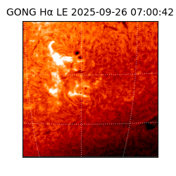 gong - 2025-09-26T07:00:42