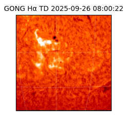 gong - 2025-09-26T08:00:22