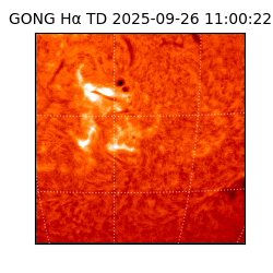 gong - 2025-09-26T11:00:22