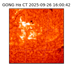 gong - 2025-09-26T16:00:42