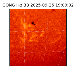 gong - 2025-09-26T19:00:02